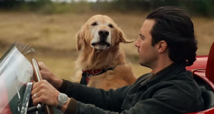 mi-amigo-enzo-critica-ok-700